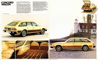 1980 AMC Full Line Prestige-16-17.jpg